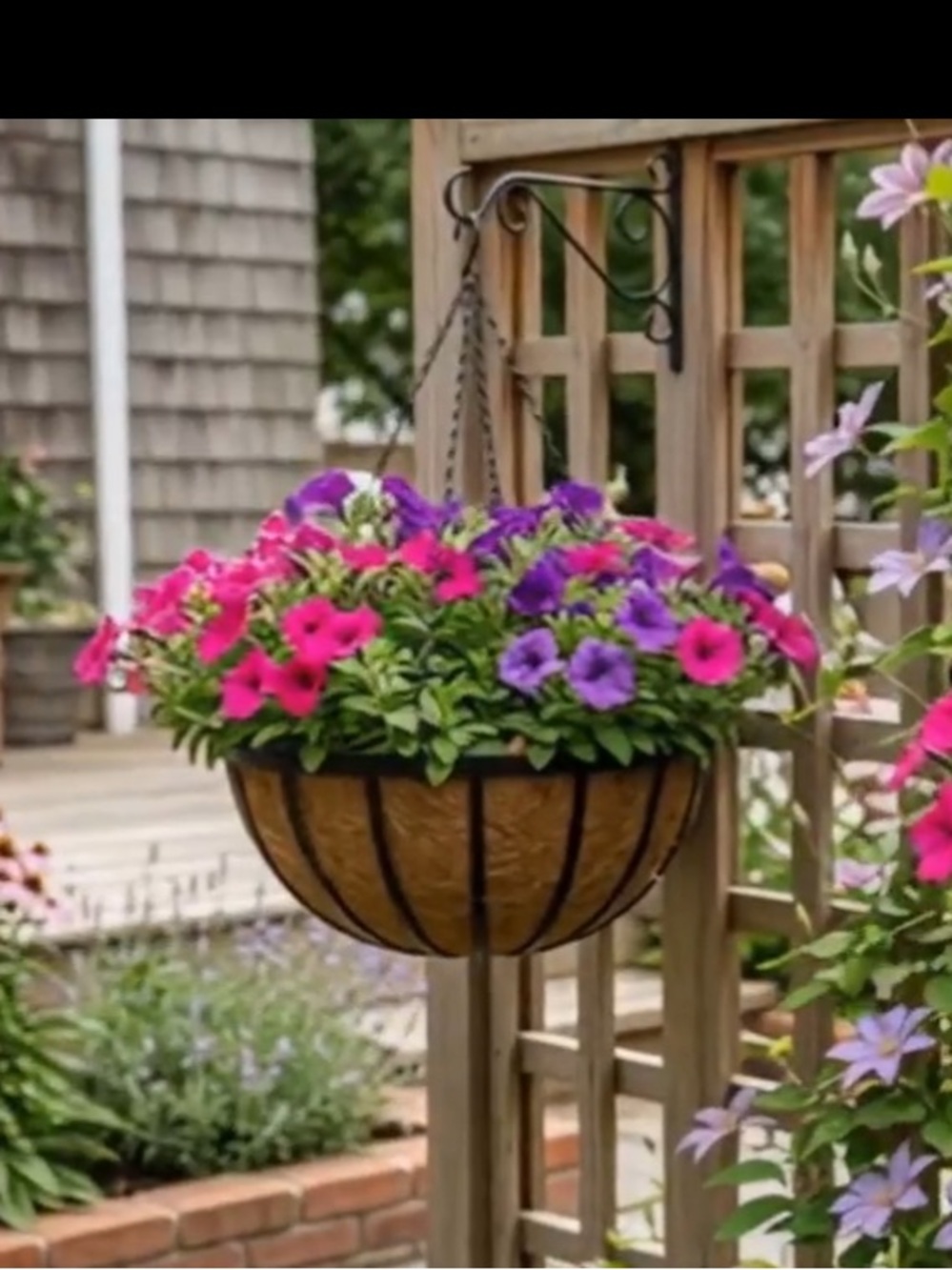 Planter hanging basket geranium NWOT